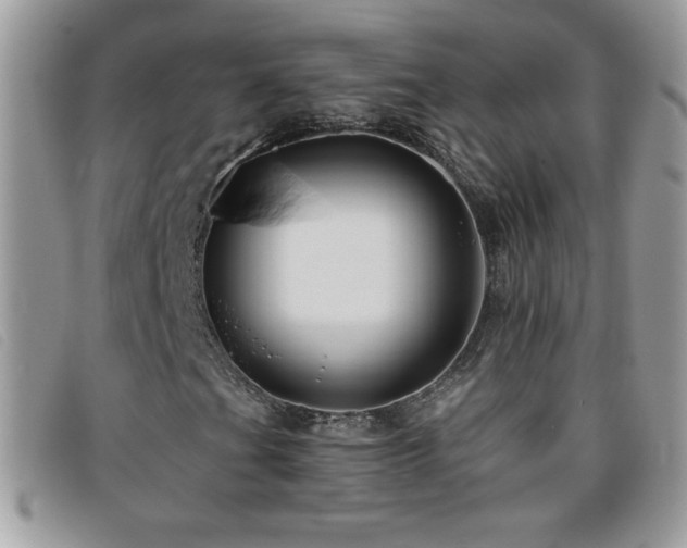 X0000095881201200801111126