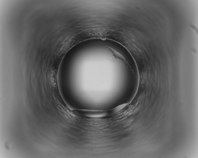 X0000095881202200801111126