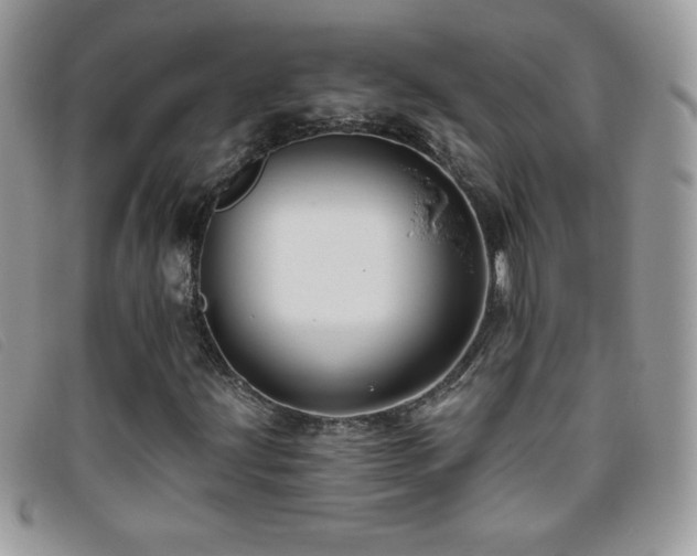 X0000095881203200801111126