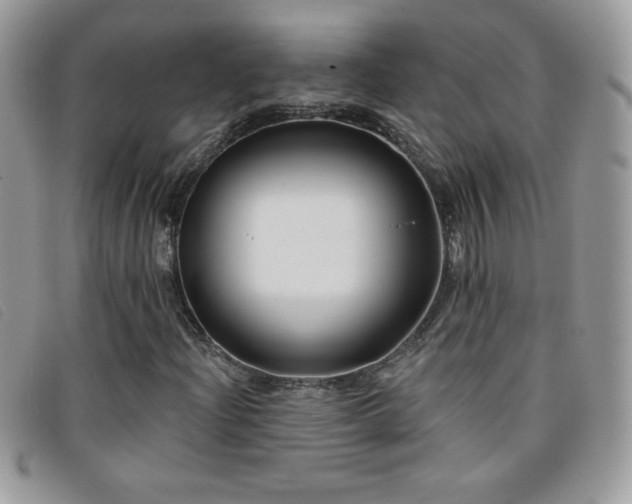 X0000095881204200801111126