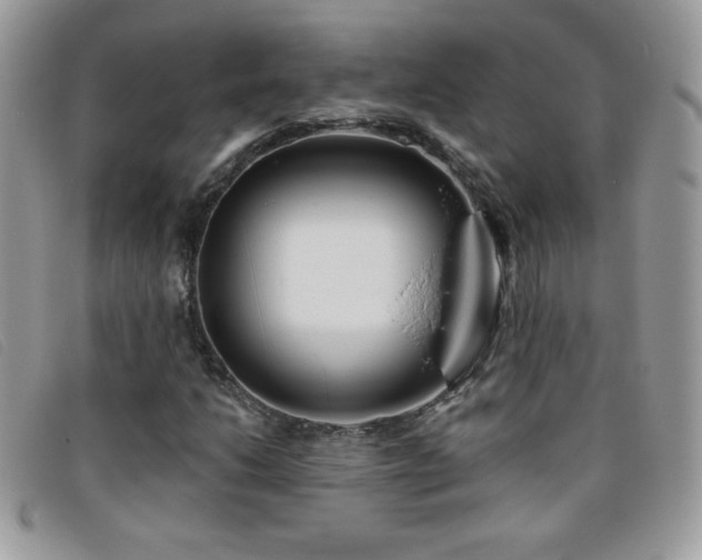 X0000095881206200801111126