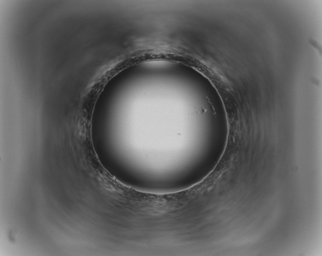 X0000095881207200801111126