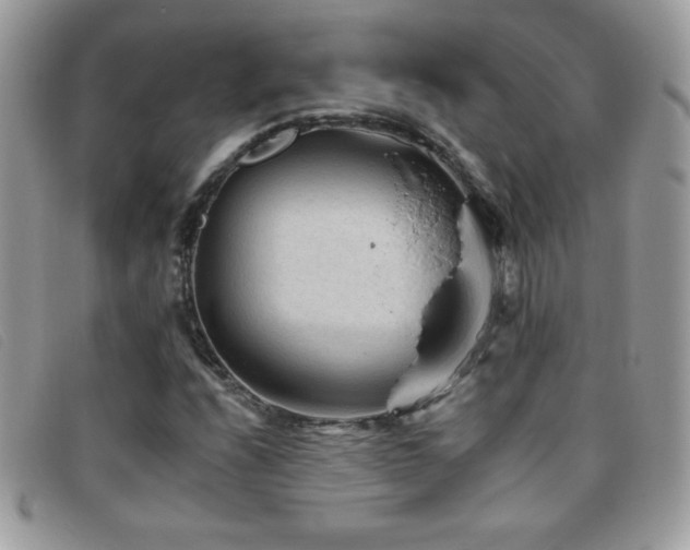 X0000095881208200801111126