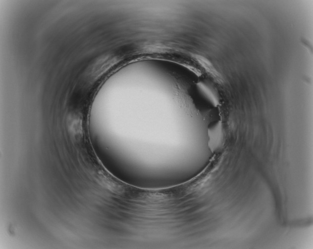 X0000095881209200801111126
