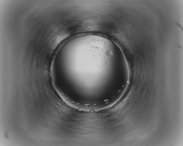 X0000095881210200801111126