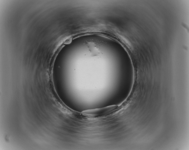 X0000095881212200801111126