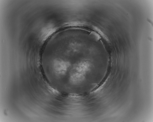 X0000095881213200801111126