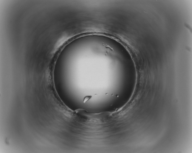 X0000095881215200801111126