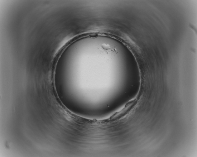 X0000095881216200801111126