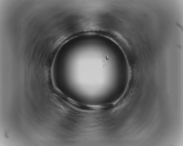 X0000095881217200801111126
