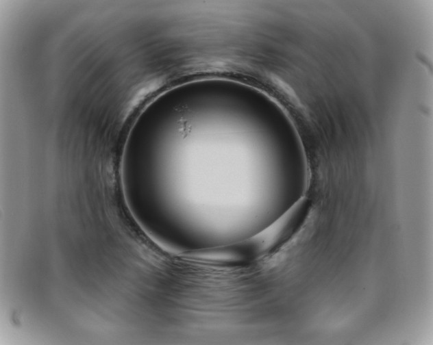 X0000095881218200801111126