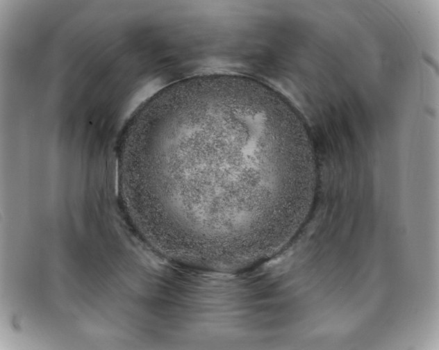 X0000095881219200801111126