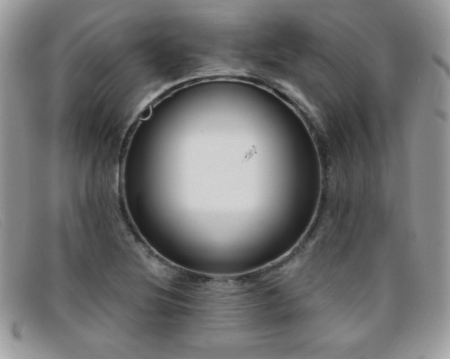 X0000095881220200801111126