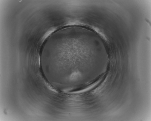 X0000095881221200801111126