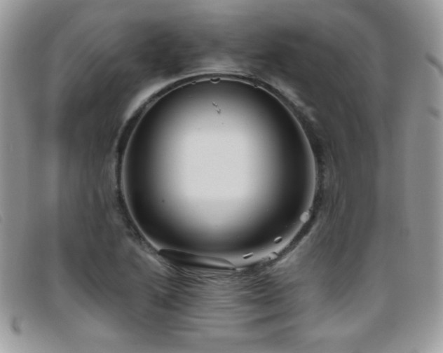 X0000095881222200801111126