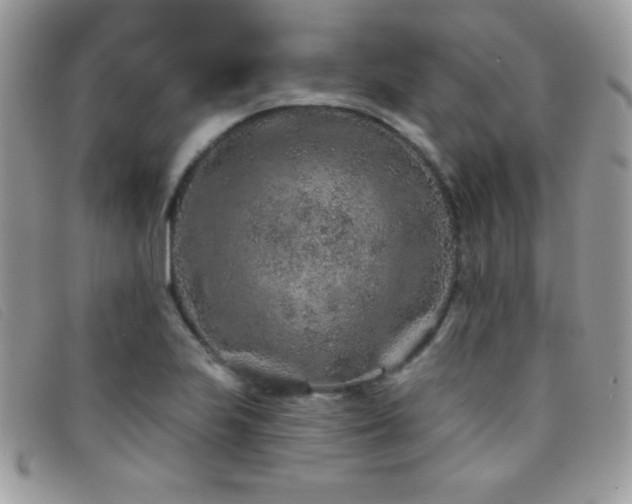 X0000095881223200801111126