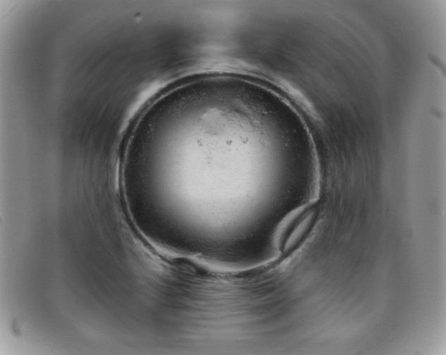 X0000095881224200801111126