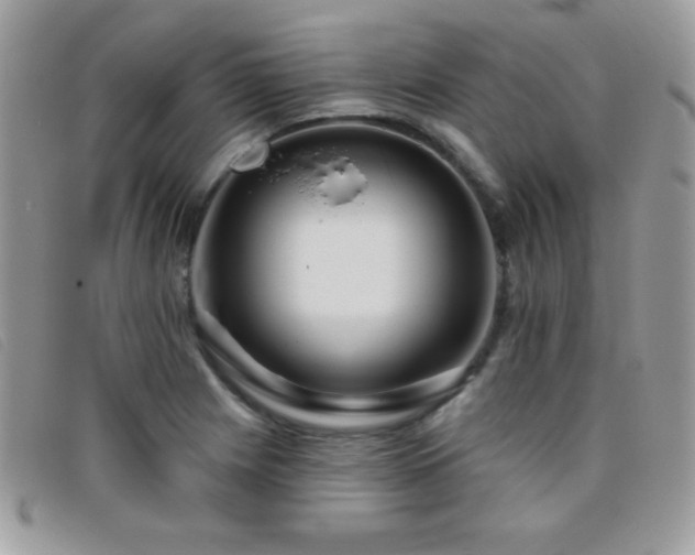 X0000095881225200801111126