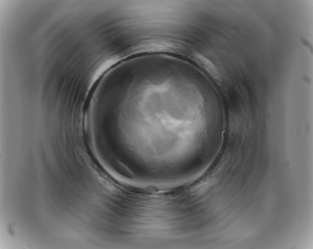X0000095881226200801111126