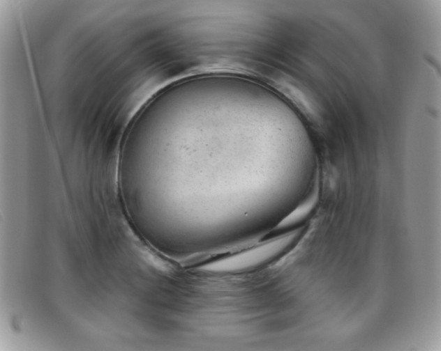 X0000095881228200801111126