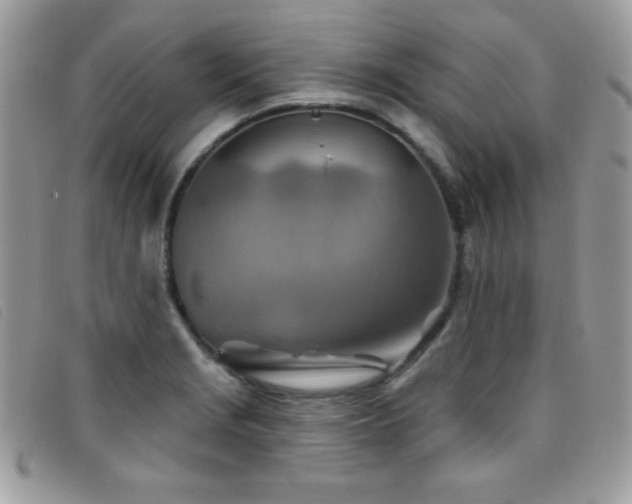 X0000095881229200801111126