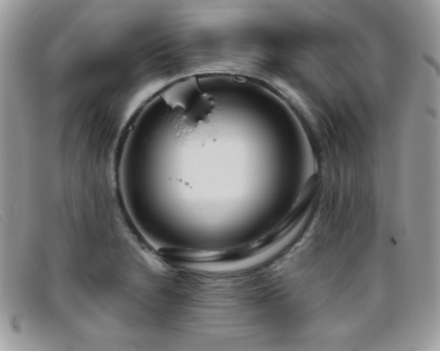 X0000095881230200801111126