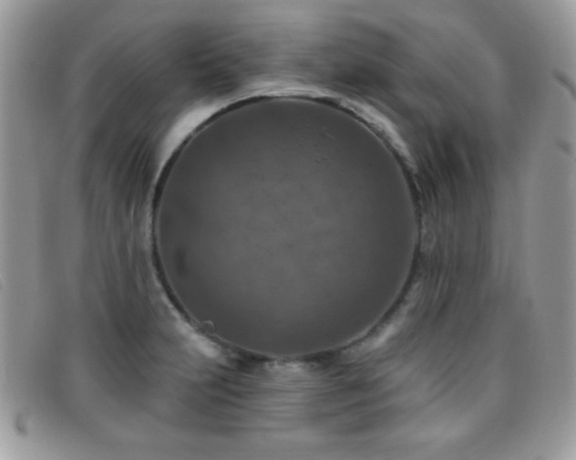 X0000095881231200801111126