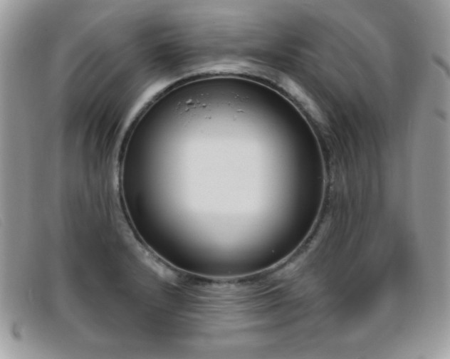 X0000095881232200801111126