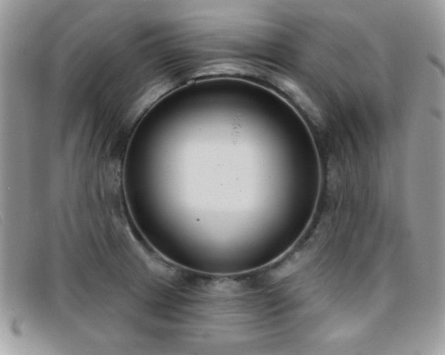 X0000095881233200801111126