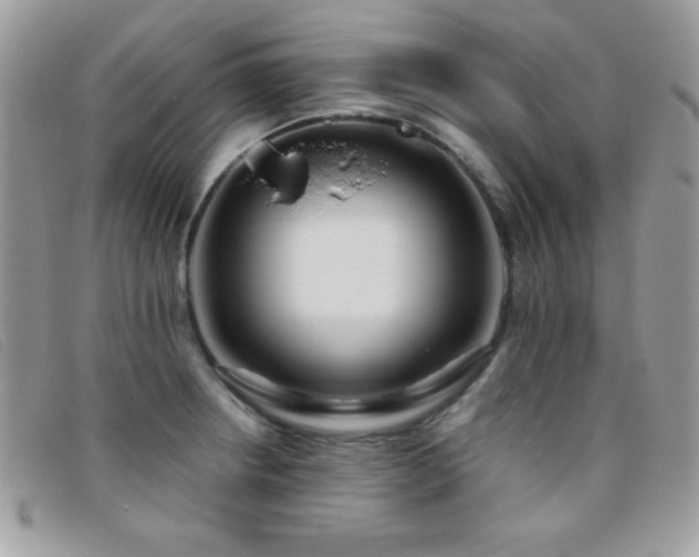 X0000095881234200801111126