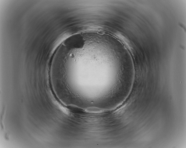 X0000095881235200801111126