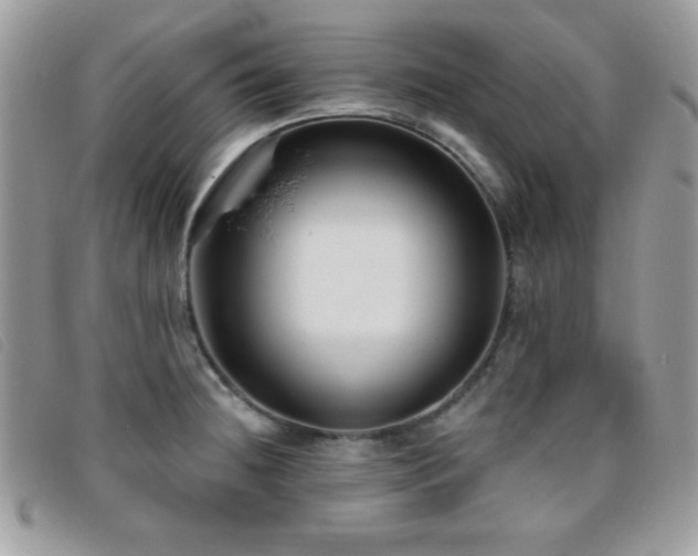 X0000095881236200801111126