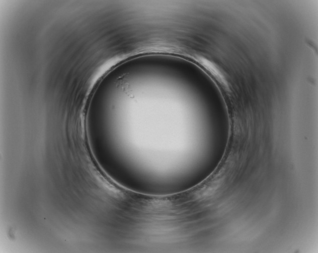 X0000095881238200801111126