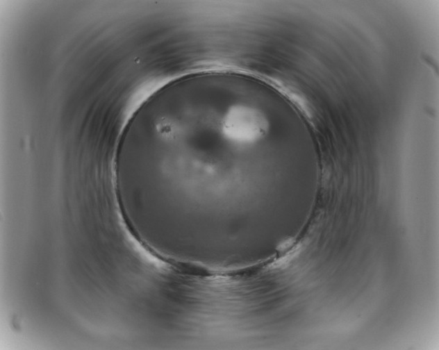 X0000095881239200801111126