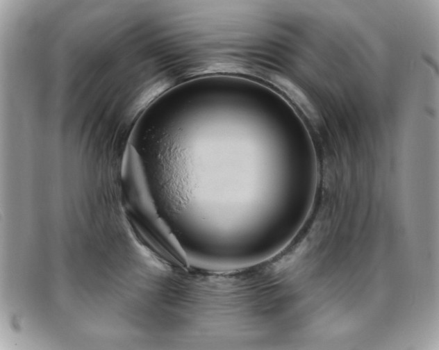X0000095881241200801111126