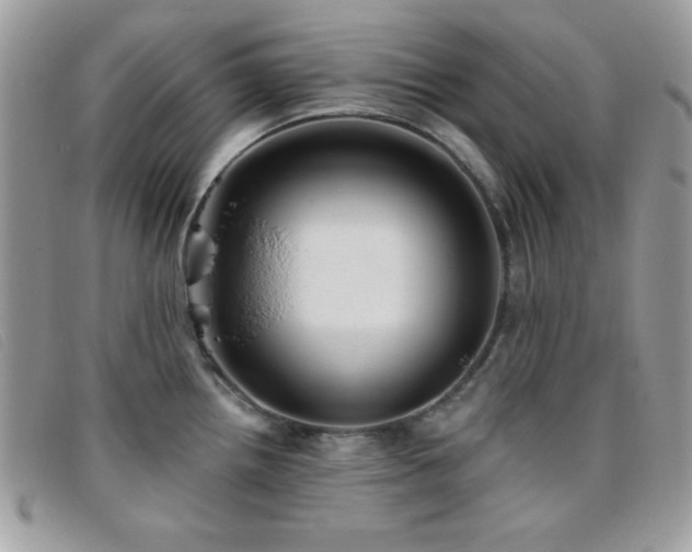 X0000095881242200801111126
