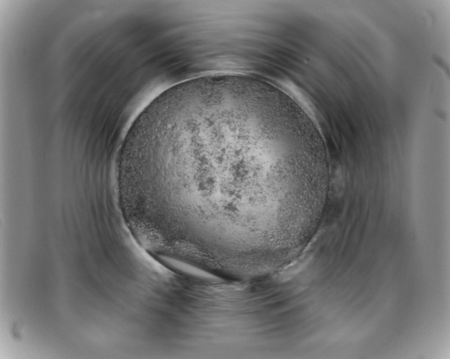 X0000095881243200801111126
