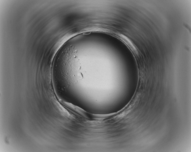 X0000095881244200801111126