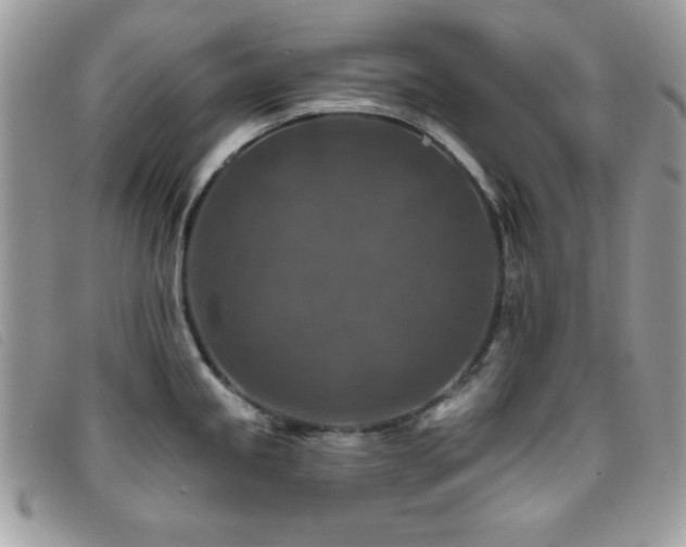X0000095881245200801111126