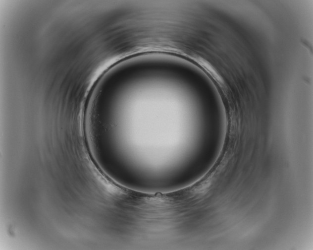 X0000095881246200801111126
