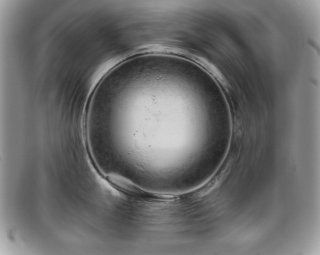 X0000095881247200801111126