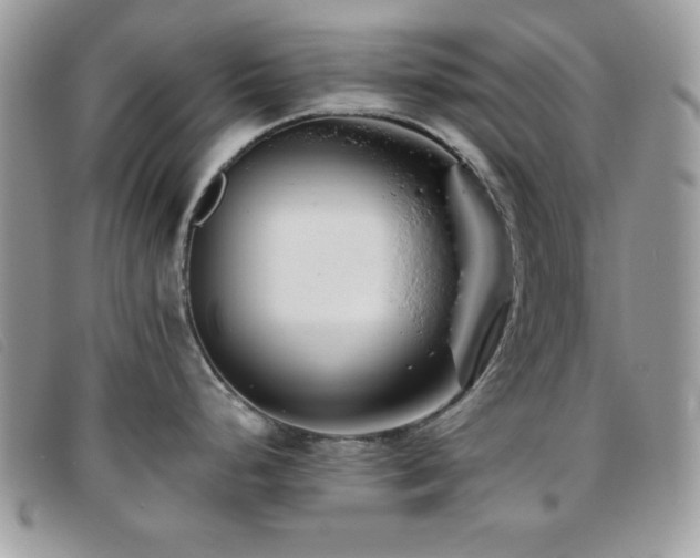 X0000095881248200801111126