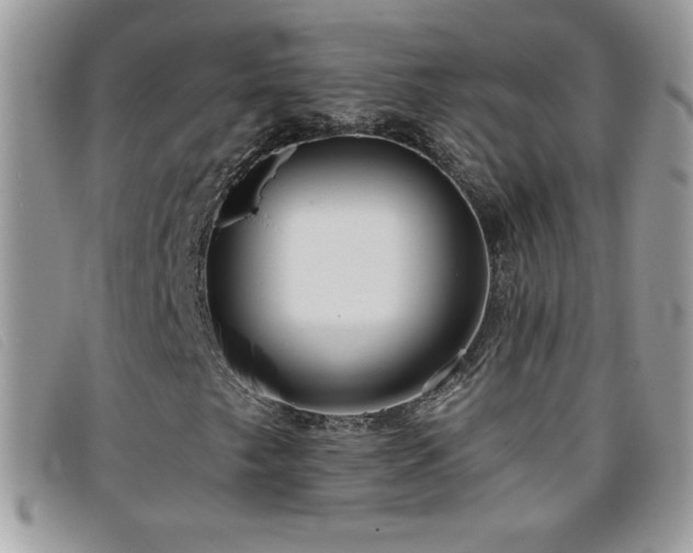 X0000095881249200801111126