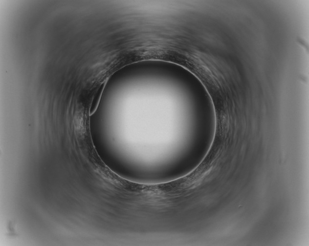 X0000095881250200801111126