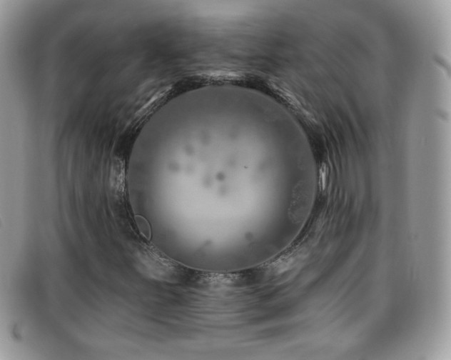 X0000095881251200801111126