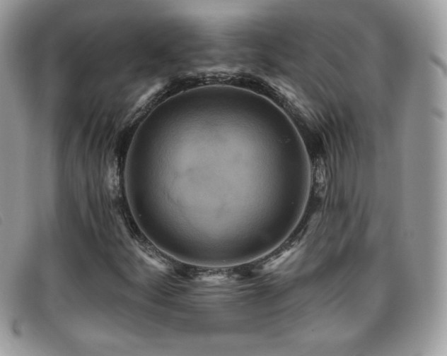 X0000095881252200801111126