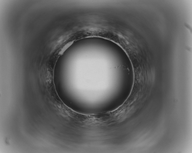 X0000095881253200801111126