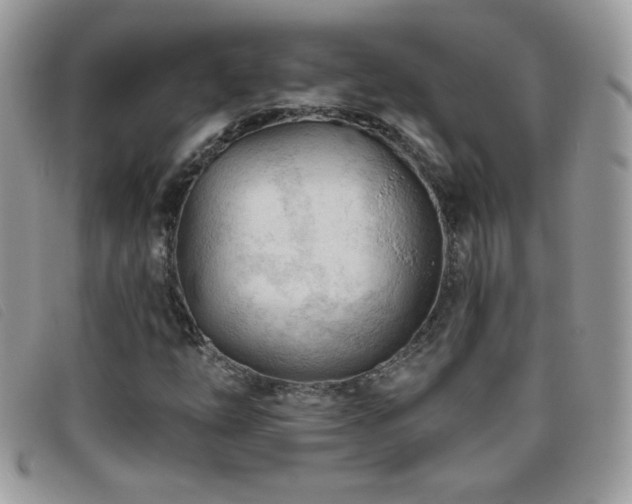 X0000095881254200801111126