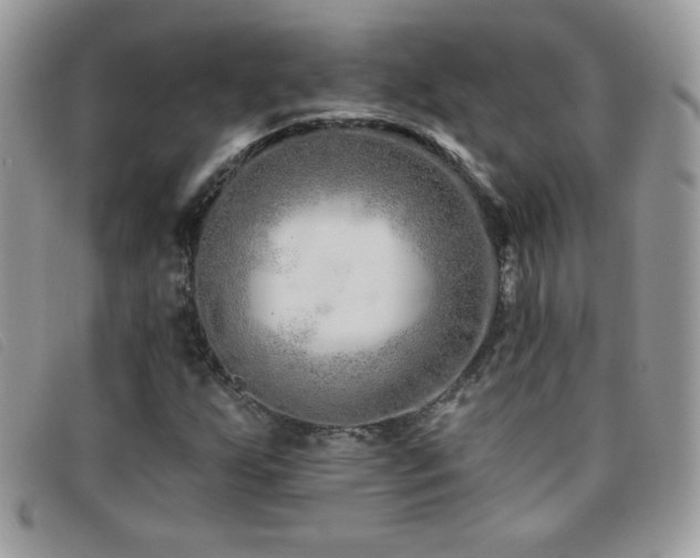 X0000095881255200801111126