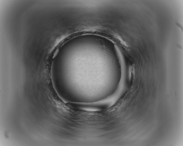 X0000095881256200801111125